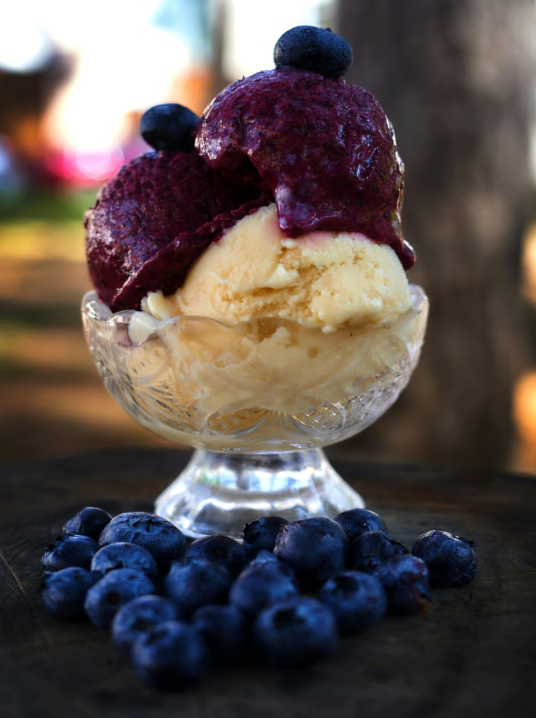 Homemade Tuscan gelato topped with fresh blueberry compote, served outdoors during a culinary experience